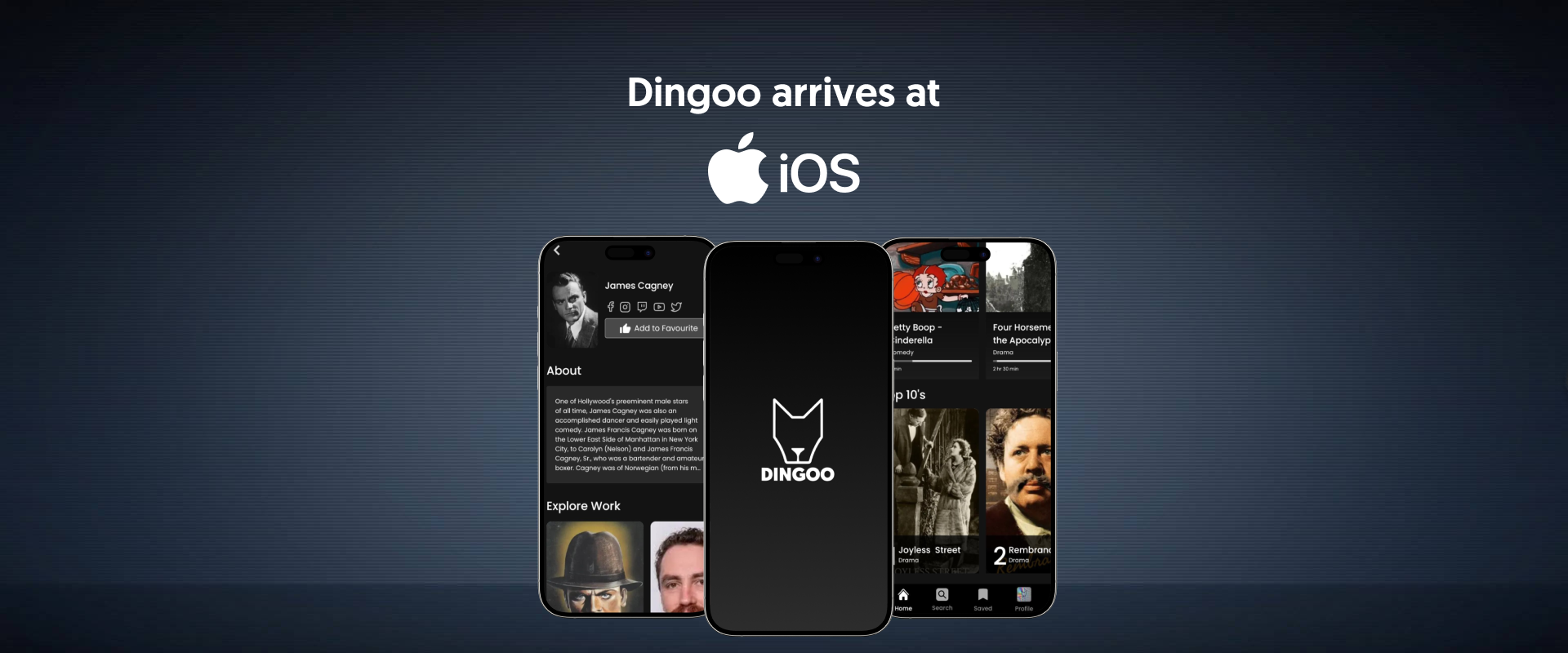 Dingoo Lands on iOS: Elevate Your Movie Experience on iPad & iPhone